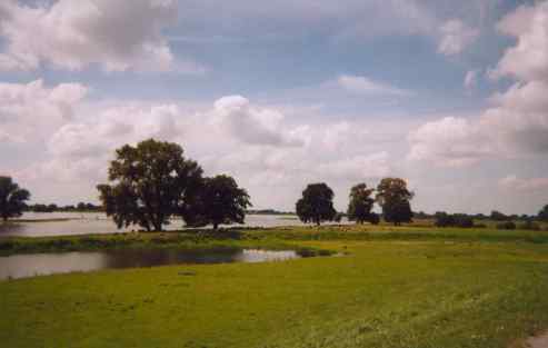 Elbe bei Hinzdorf 7 km vor Wittenberge
