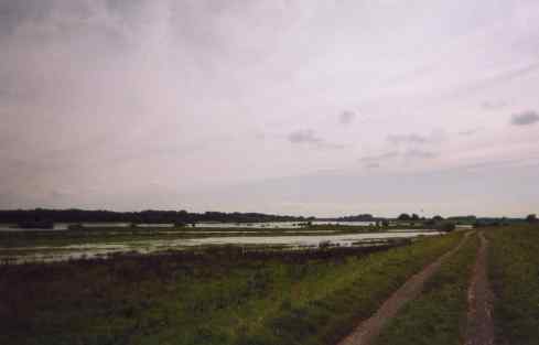 Elbe bei Schnackenburg rechts elbisch 
